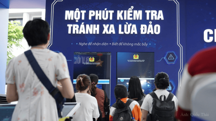 lùa đảo 2.png