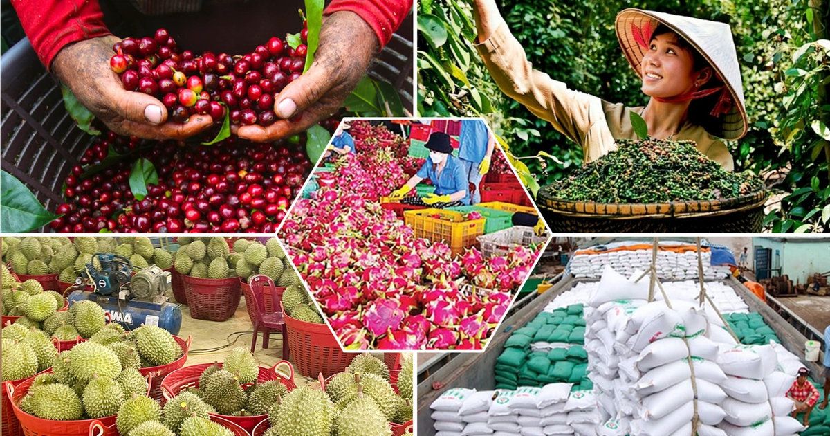 Nông lâm sản Việt Nam hướng tới làm chủ chuỗi giá trị, nâng sức cạnh tranh trên thị trường quốc tế