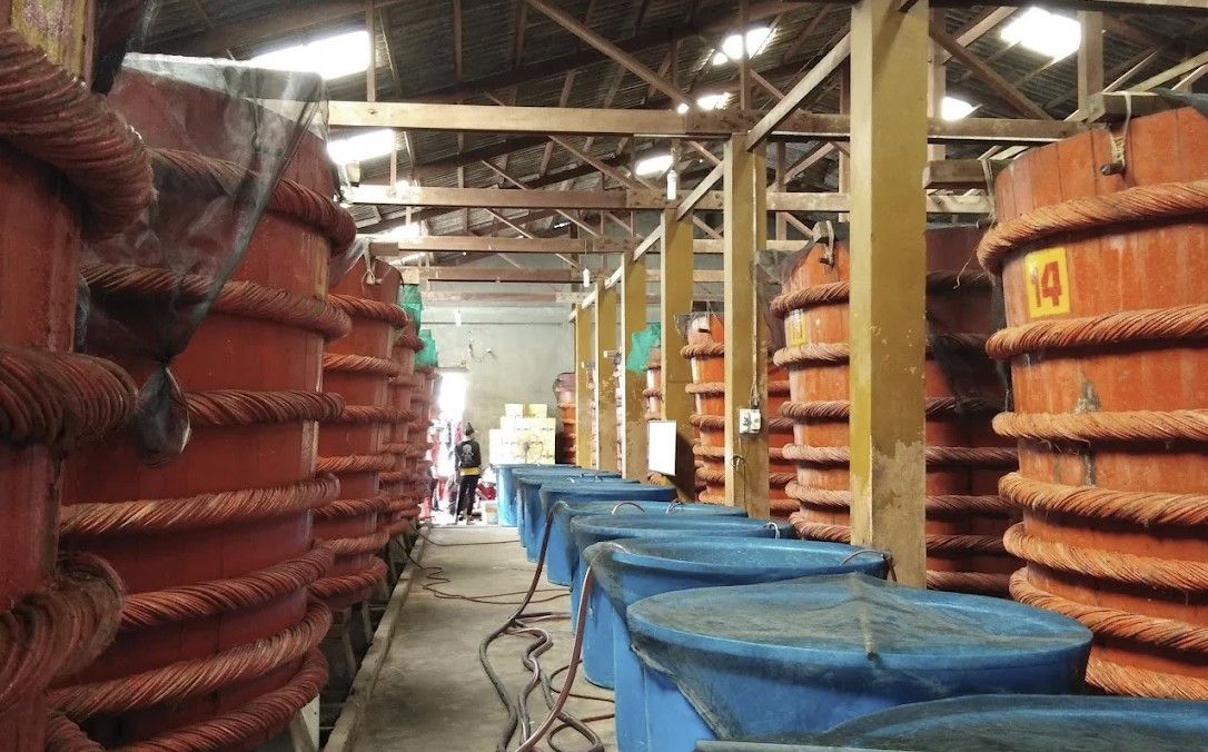 Từ văn hóa đến tài sản trí tuệ: Công nghệ mở rộng đường tiếp cận cho vật phẩm, hình ảnh, thương hiệu...