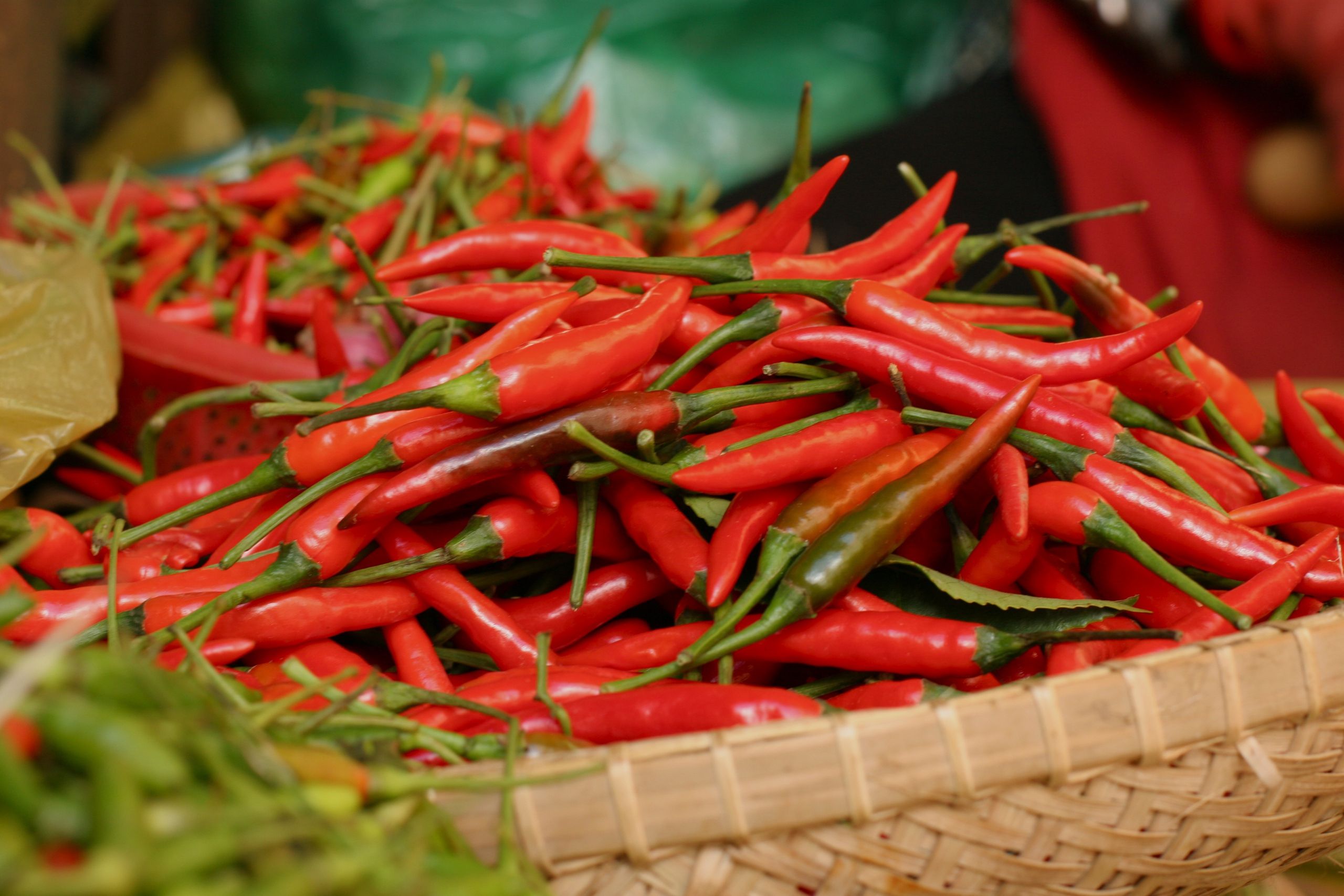 Xuất khẩu ớt Việt tăng mạnh, giá bán lẻ tăng lên 240.000 đồng/kg