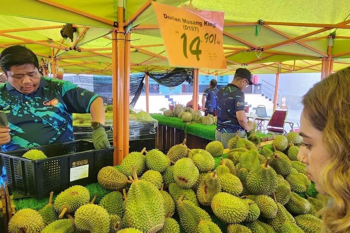 Sầu riêng Malaysia tìm đường sang Trung Quốc, tăng sức ép với Việt Nam