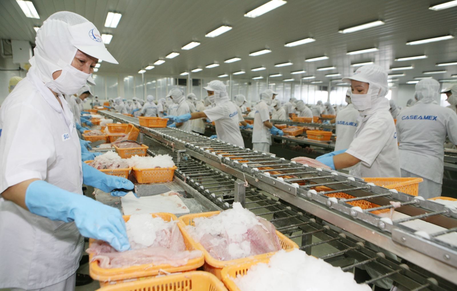 Thị phần thủy sản xuất khẩu của Việt Nam sang Singapore tăng nhanh