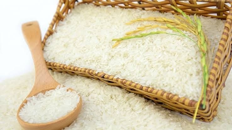 Giá lúa gạo ngày hôm nay 18/9/2026: Lúa tươi giảm 300 đồng/kg, gạo nguyên liệu vẫn đứng giá