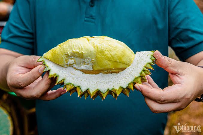Giá sầu riêng hôm nay 9/9/2026: Hàng đẹp lên 85.000 đồng/kg, hàng kem chỉ 13.000 đồng