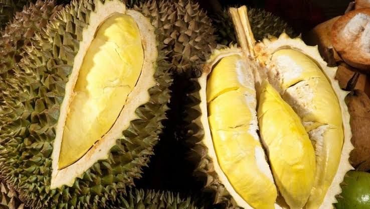 Giá sầu riêng hôm nay 14/7: Đi ngang ở mức thấp