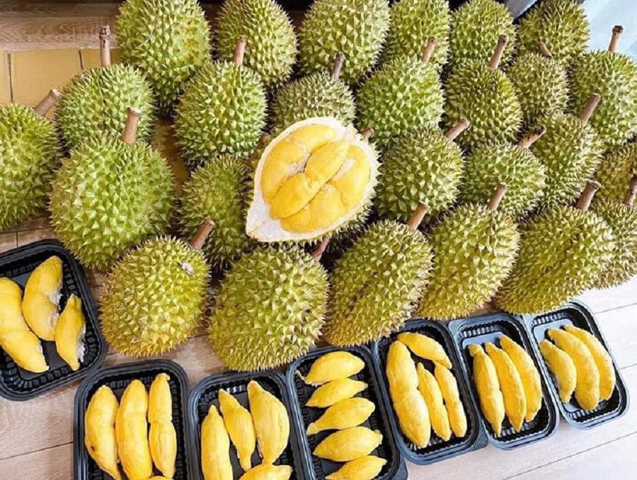 Giá sầu riêng ngày hôm nay 17/9: Sầu Thái cao nhất 95.000 đồng, hàng kem chỉ 14.000 đồng