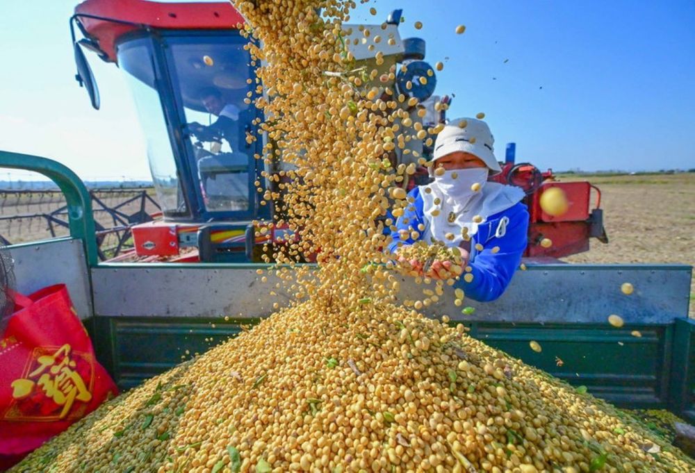 Q1 2026: Vietnam's imports of agricultural, forestry and fishery products reach nearly USD 12 billion