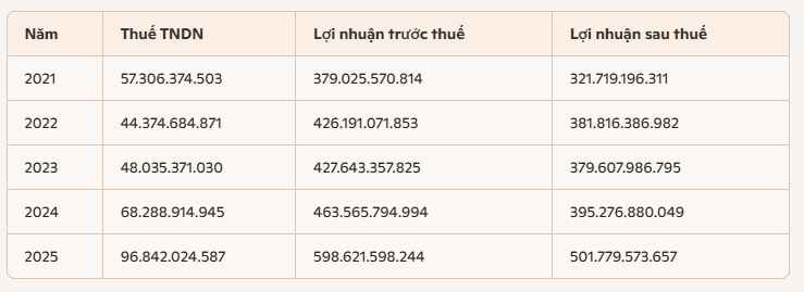 lợi nhuận sau thuế cmc