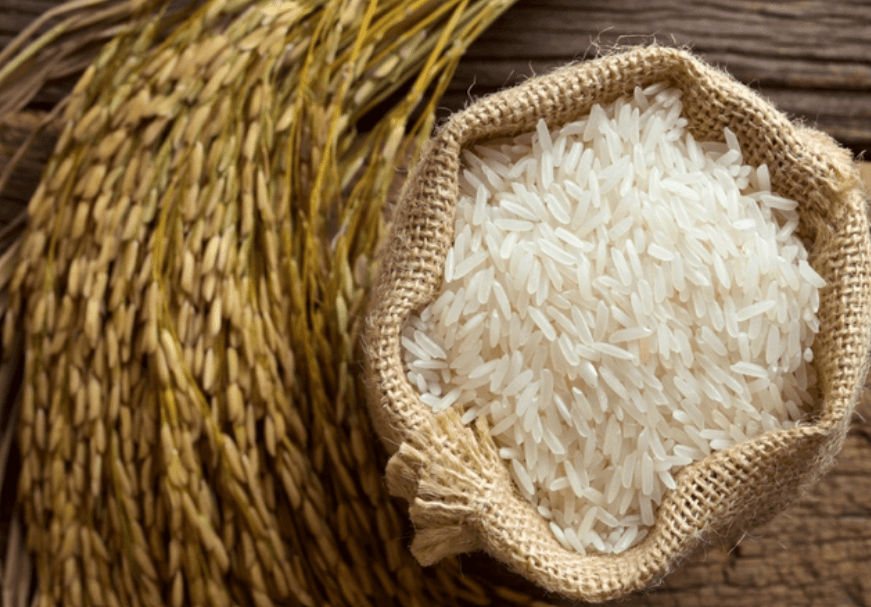 Ngày 11/7: Giá lúa tại Đồng bằng sông Cửu Long đi ngang, gạo Đài thơm tăng 500 đồng/kg
