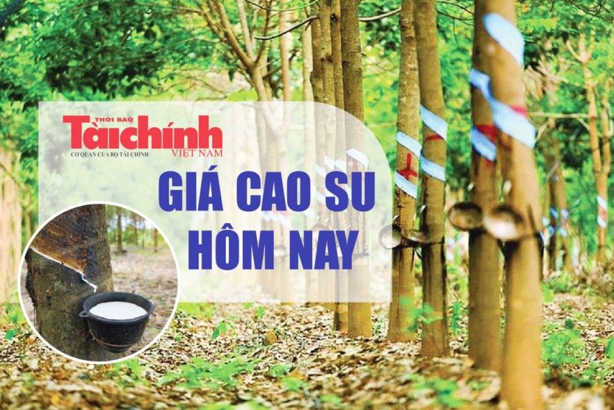 Ngày 13/7: Giá cao su thế giới biến động trái chiều, trong nước ổn định