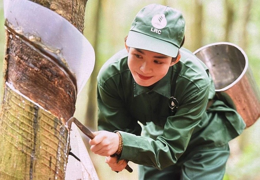 Ngày 14/7: Giá cao su thế giới diễn biến trái chiều, trong nước giảm