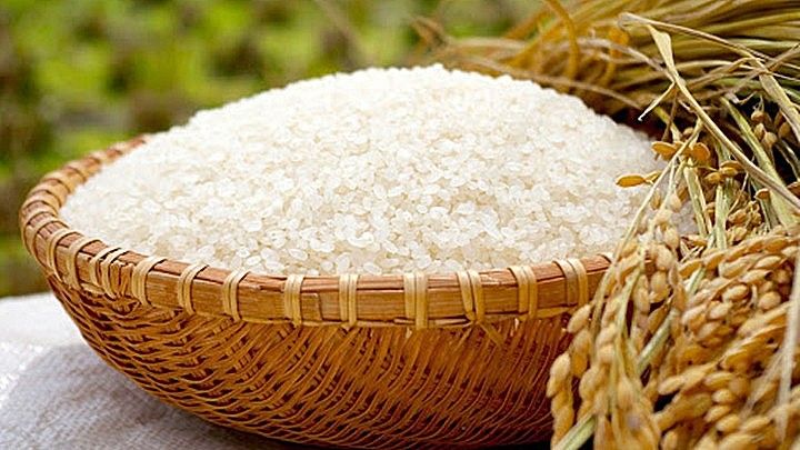 Giá lúa gạo ngày hôm nay 21/9/2026: Giao dịch chậm, giá lúa khó bật tăng