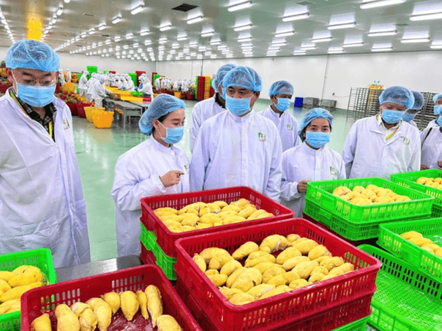 Nông sản Việt Nam thích ứng với quy định của Trung Quốc có hiệu lực từ ngày 1-6