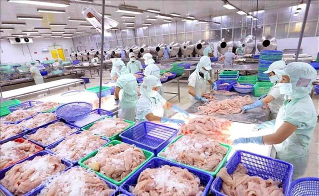 Phân tích cổ phiếu AGF: CTCP Xuất nhập khẩu Thủy sản An Giang
