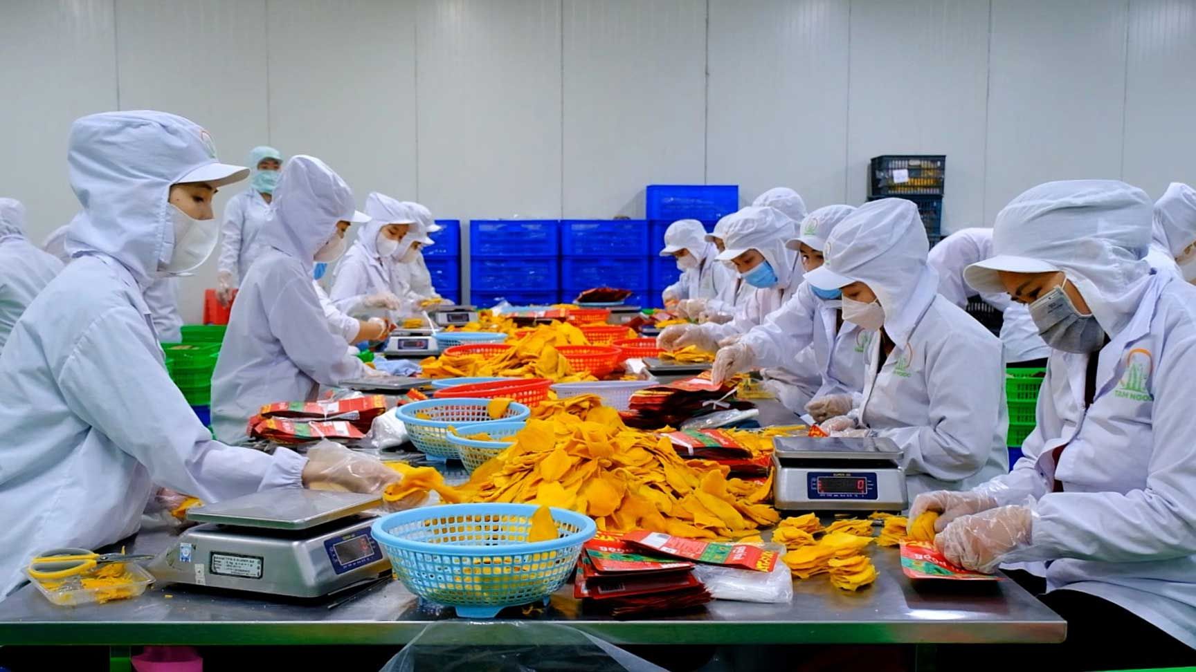 Phân tích cổ phiếu AGX: CTCP Thực phẩm Nông sản Xuất khẩu Sài Gòn
