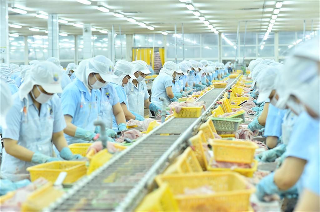 Phân tích cổ phiếu ANV: Công ty Cổ phần Nam Việt (Navico)