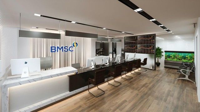 Phân tích cổ phiếu BMS: CTCP Chứng khoán Bảo Minh