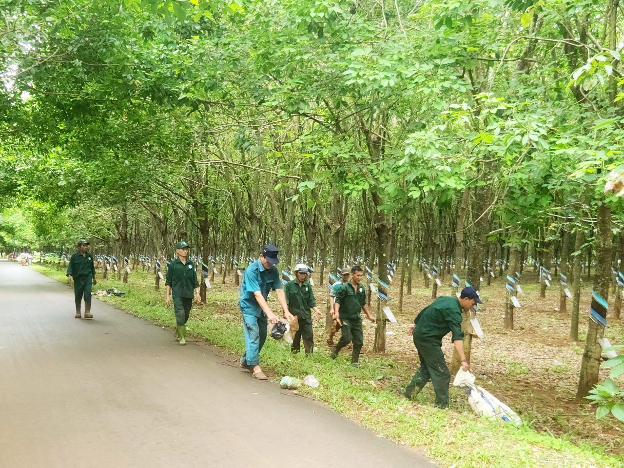 Phân tích cổ phiếu BRR: CTCP Cao su Bà Rịa