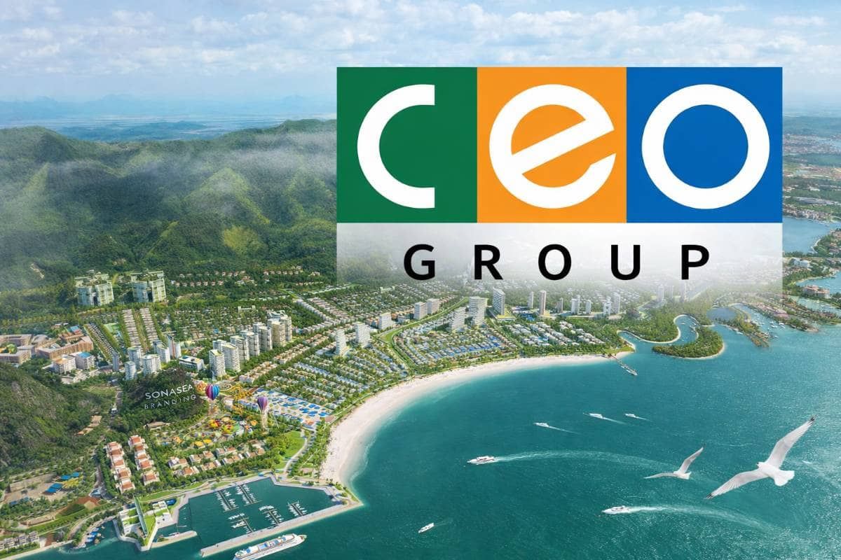 Phân tích cổ phiếu CEO: Đánh giá tài chính và tiềm năng
