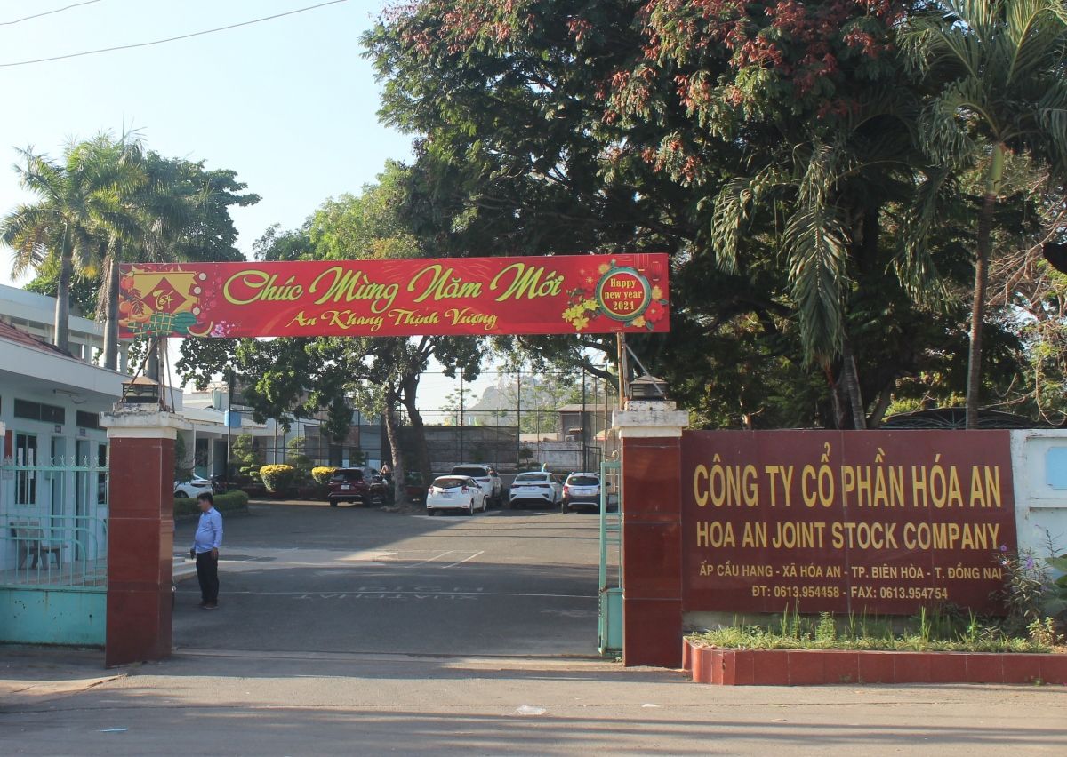 Phân tích cổ phiếu DHA: CTCP Hóa An