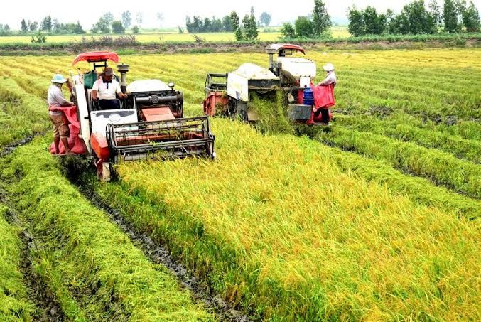 Phân tích cổ phiếu DOC: CTCP Vật tư nông nghiệp Đồng Nai