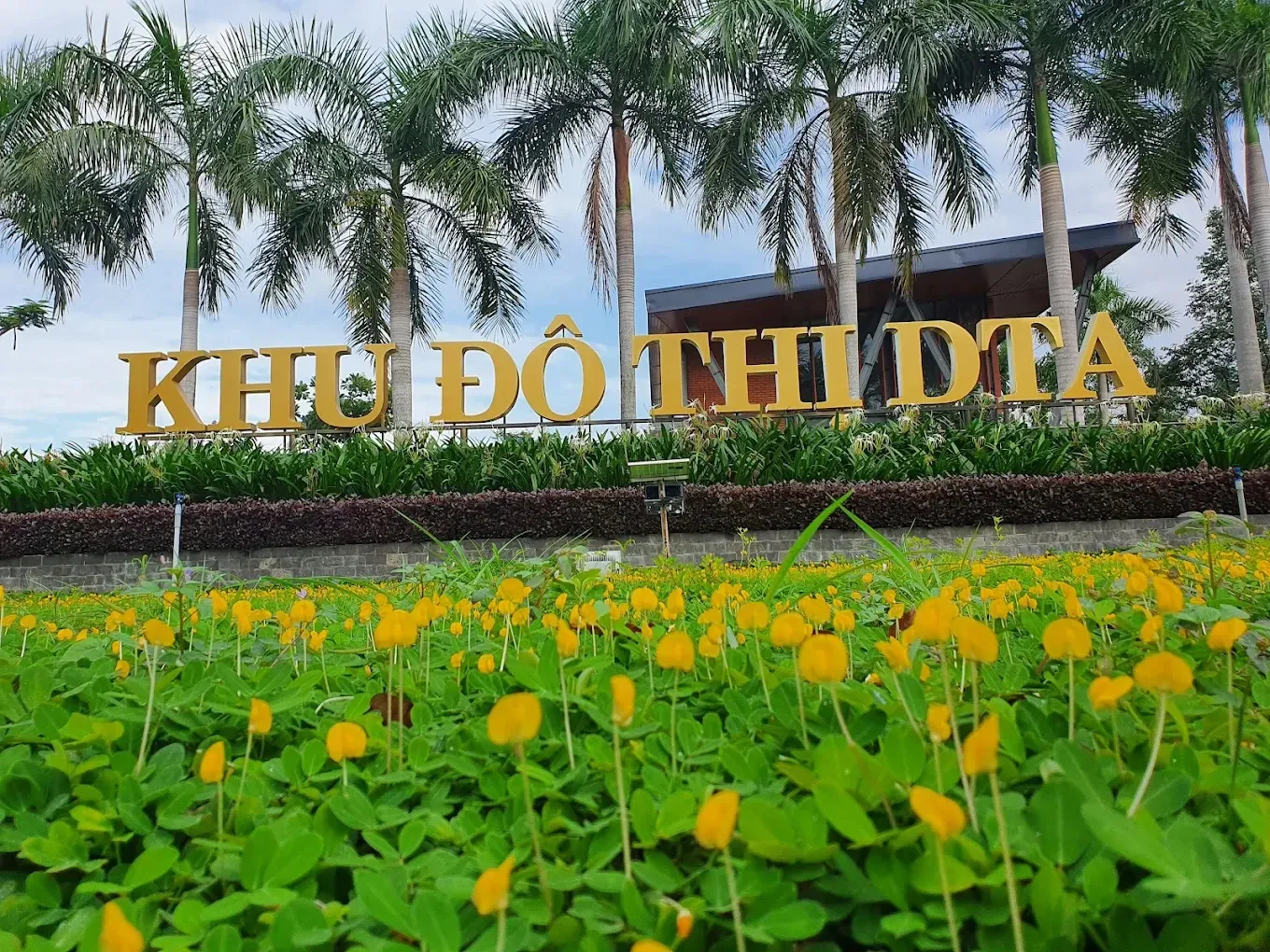 Phân tích cổ phiếu DTA: CTCP Đệ Tam