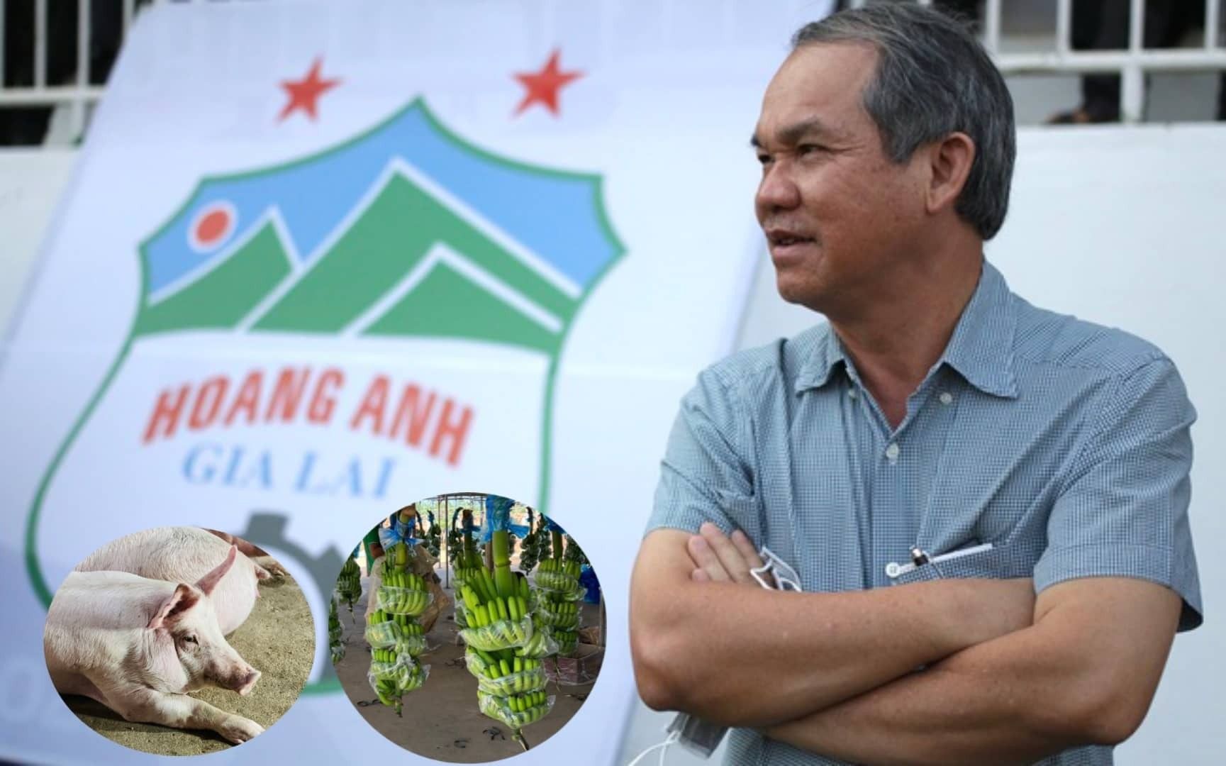 Phân tích cổ phiếu HAG: CTCP Hoàng Anh Gia Lai