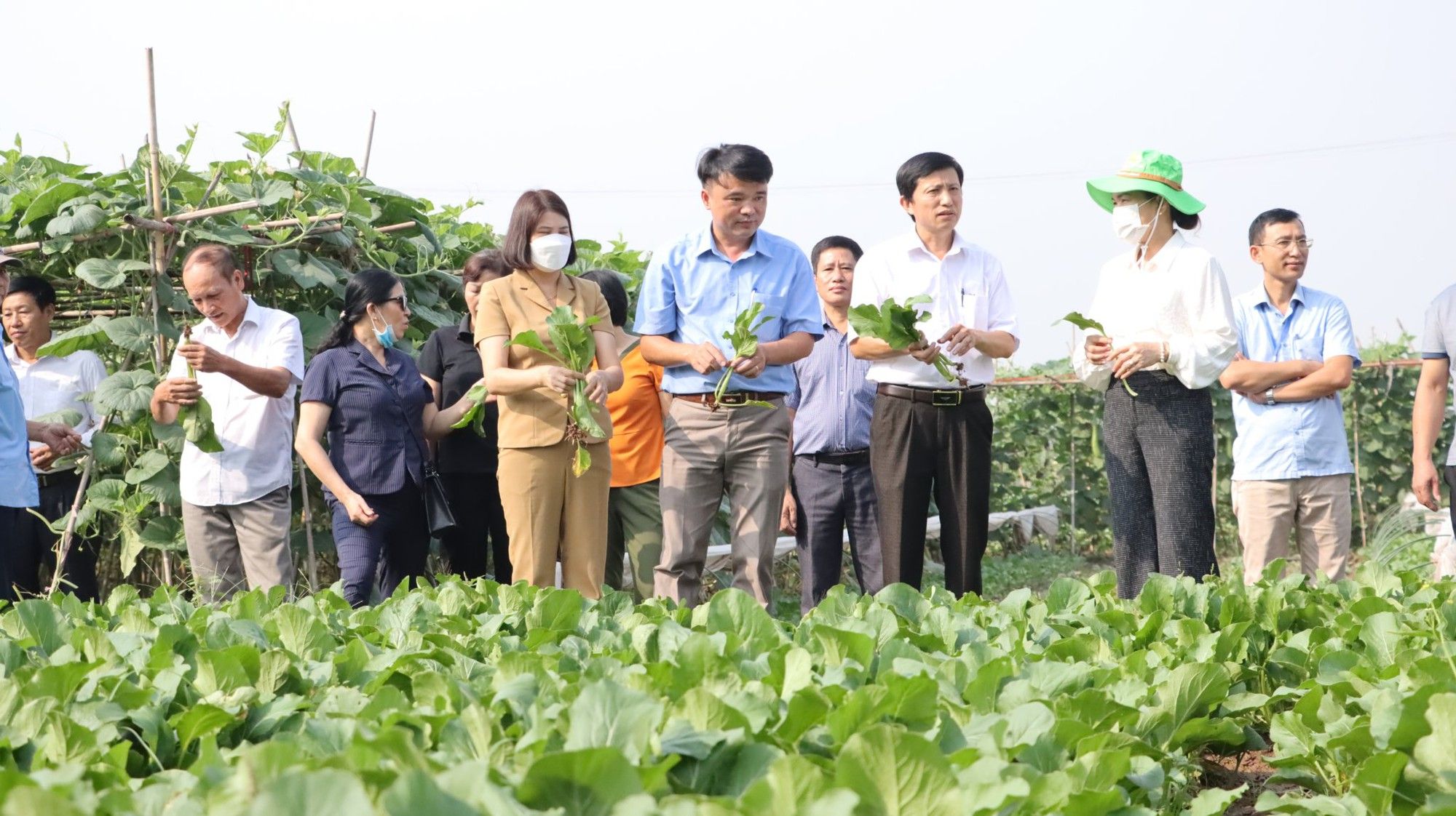 Phân tích cổ phiếu HKB: CTCP Nông nghiệp và Thực phẩm Hà Nội - Kinh Bắc