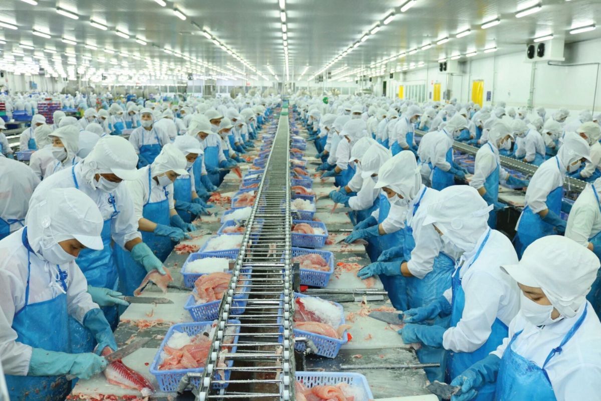 Phân tích cổ phiếu ICF: CTCP Đầu tư - Thương mại - Thuỷ Sản