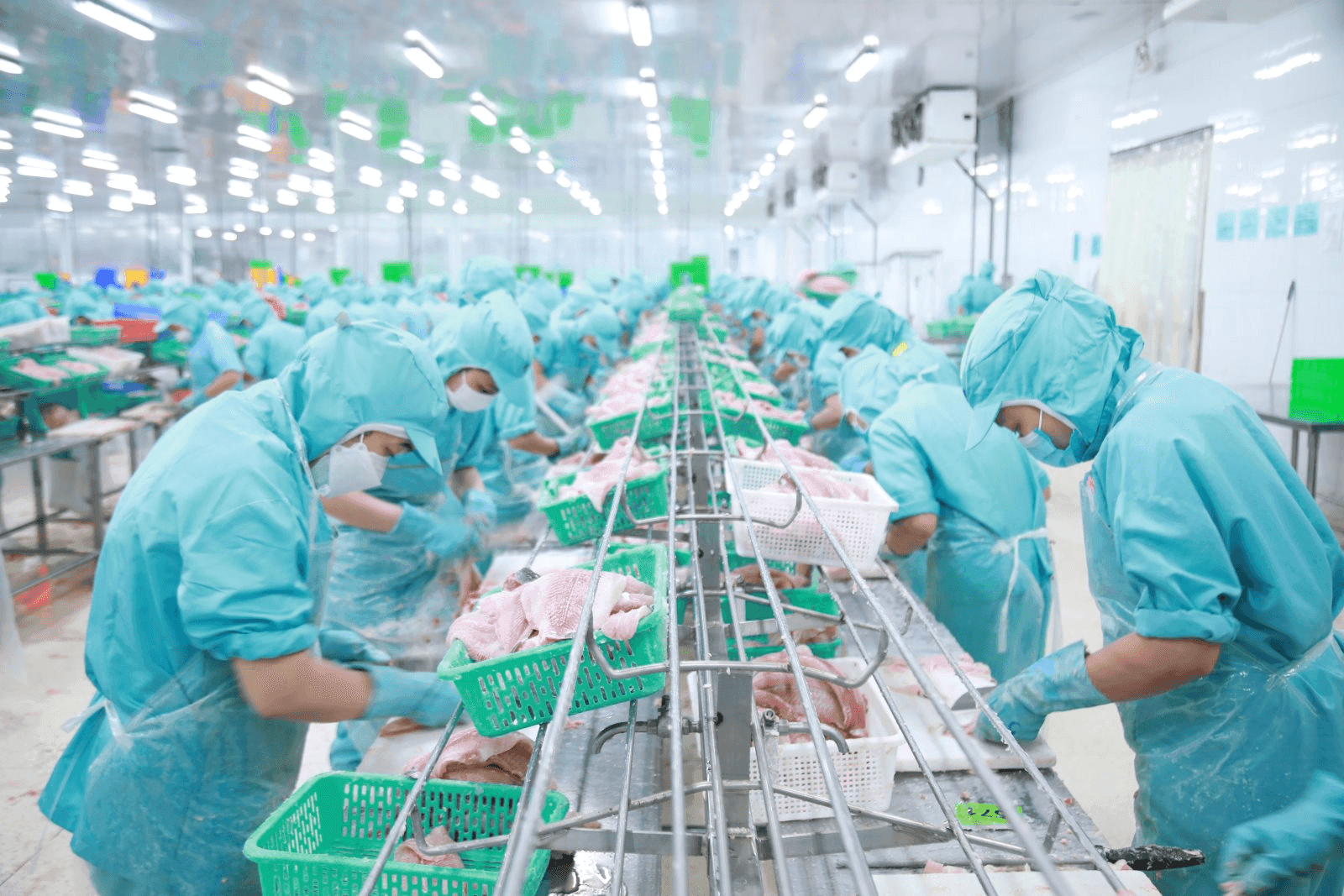 Phân tích cổ phiếu IDI: CTCP Đầu tư và Phát triển Đa Quốc Gia
