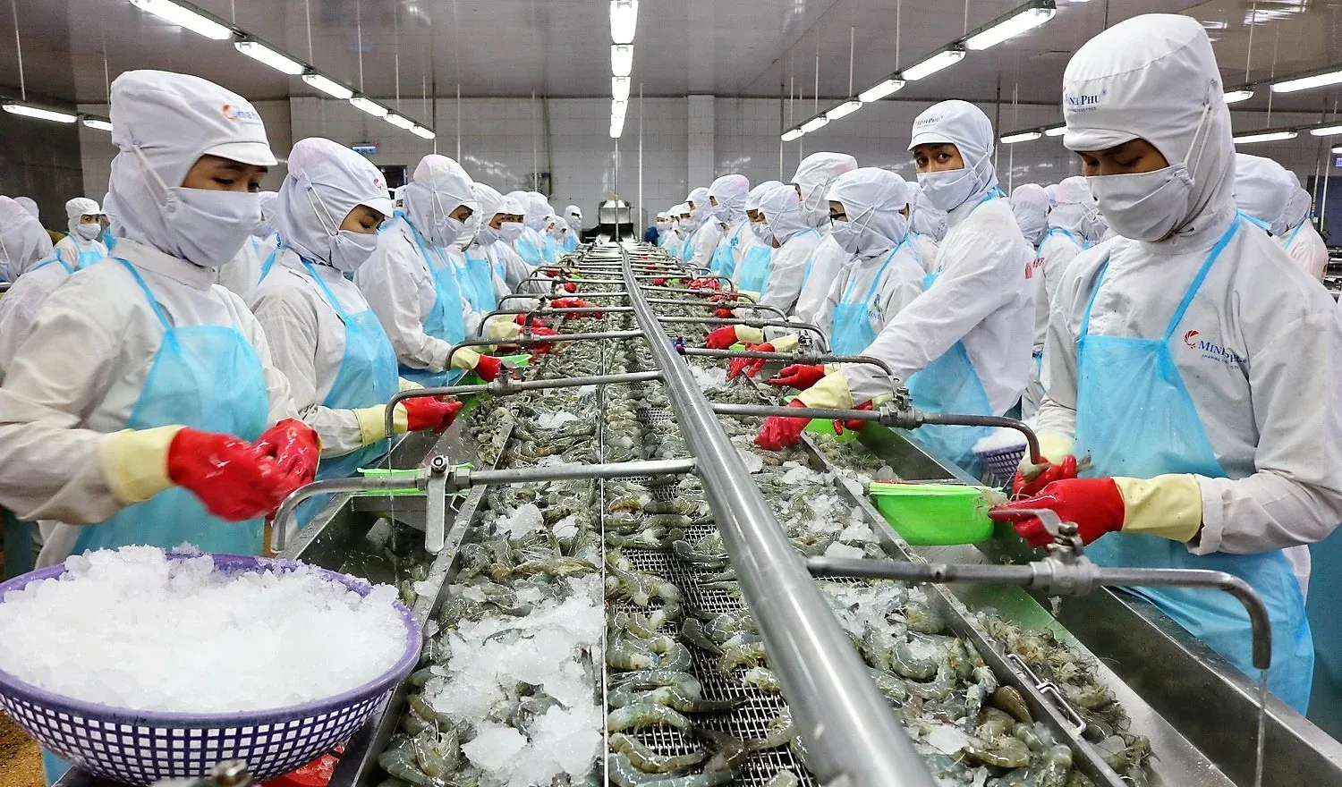Phân tích cổ phiếu MPC: CTCP Tập Đoàn Thủy Sản Minh Phú