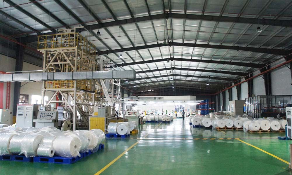 Phân tích cổ phiếu PMP: CTCP Bao bì đạm Phú Mỹ