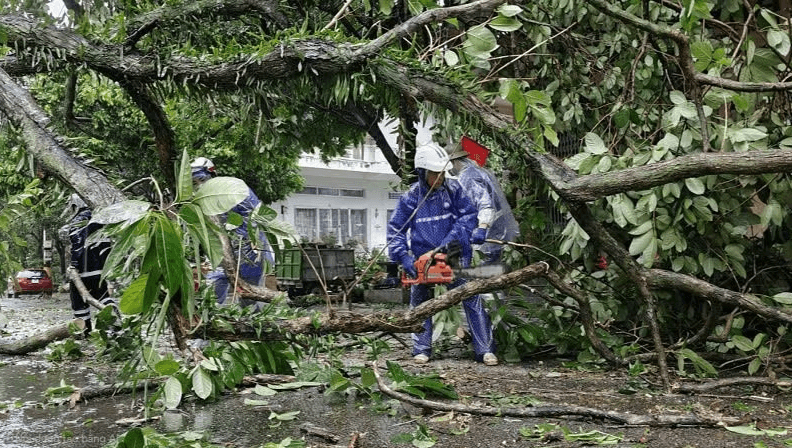 Quảng Ninh reports about 20 billion VND in damages from Typhoon No. 1
