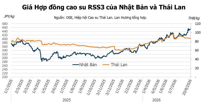 Giá cao su hôm nay 21/8: Nhật Bản lên đỉnh hai tháng nhờ kỳ vọng nguồn cung giảm