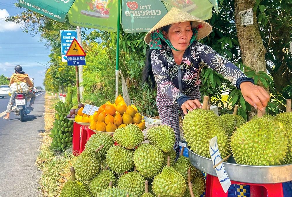 Giá sầu riêng hôm nay 25/9: Sầu Thái loại A cơm chuẩn chạm 95.000 đồng/kg