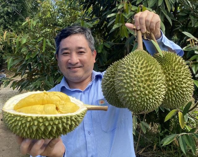 Giá sầu riêng hôm nay 7/9/2026: Hàng đẹp tăng giá, sầu lỗi và hàng dạt vẫn ở mức thấp
