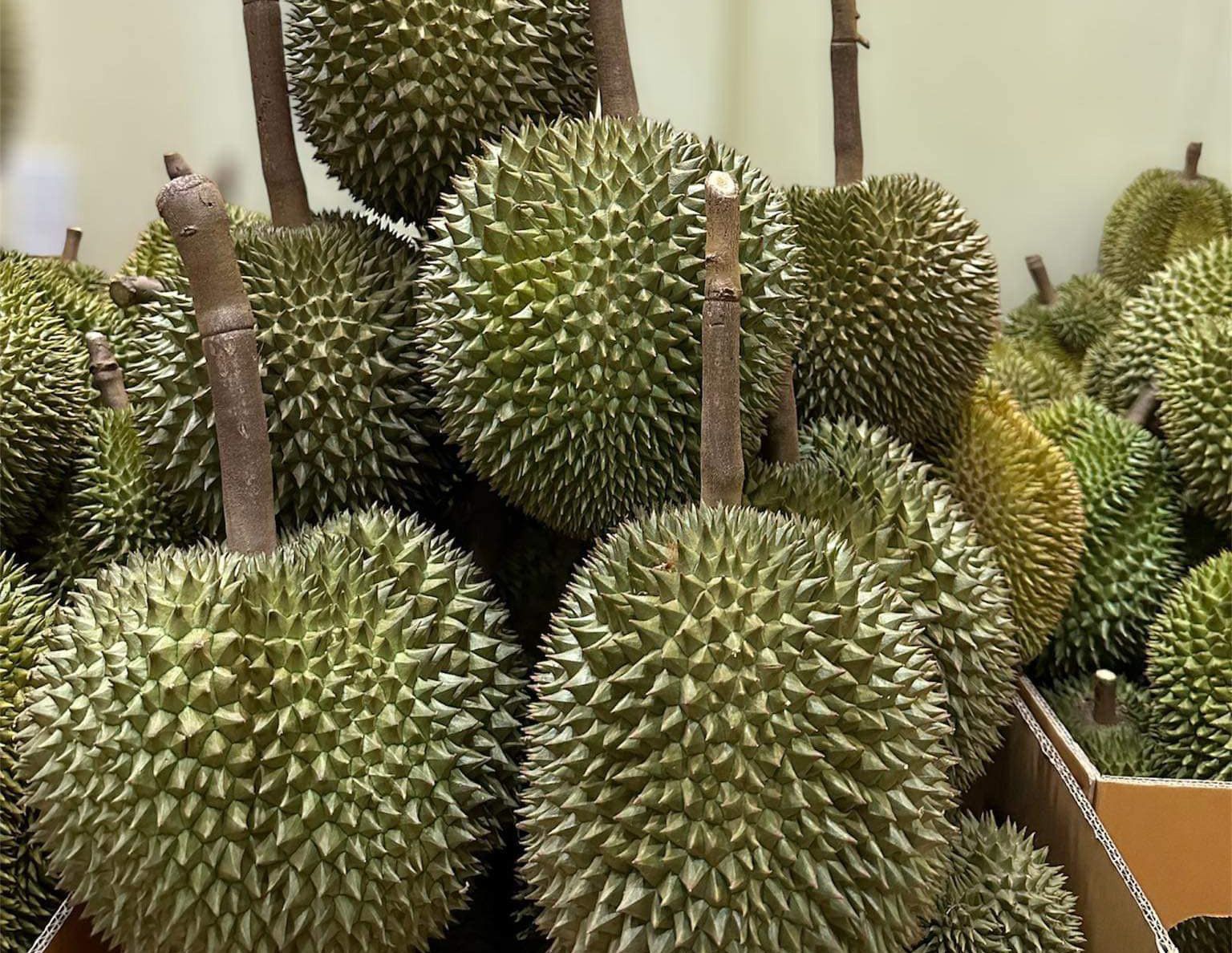 sau-rieng-1-906.jpg