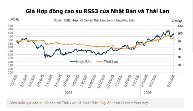 Giá cao su hôm nay 10/7: Bật tăng theo giá dầu