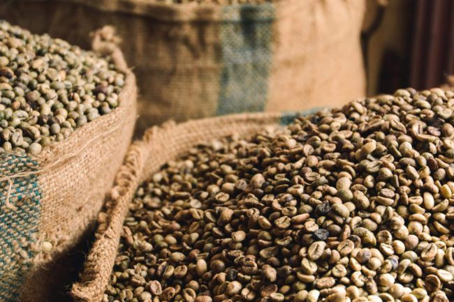 Giá cà phê ngày hôm nay 7/10/2026: Robusta tăng tới 68 USD/tấn, Arabica cũng đi lên
