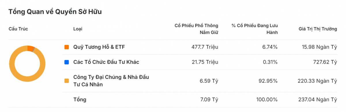 Cơ cấu cổ đông của Techcombank hiện ra sao?