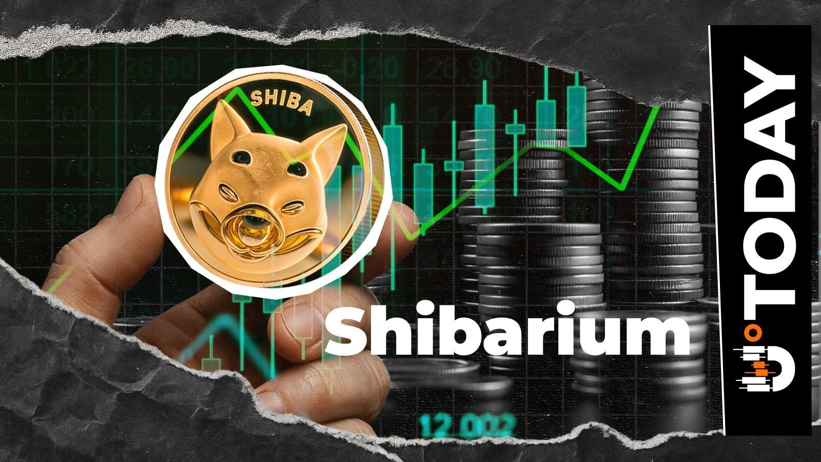 Shibarium transaction volume rises 100% over four days amid ongoing market uncertainty