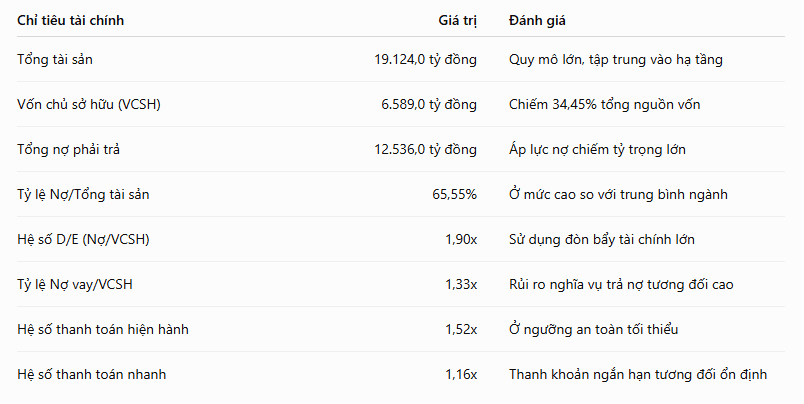 tai-chinh-dnp.PNG