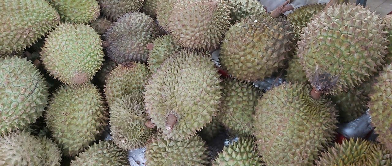 Tăng tốc mạnh mẽ, ngành rau quả hướng tới mốc xuất khẩu mới trong năm 2026
