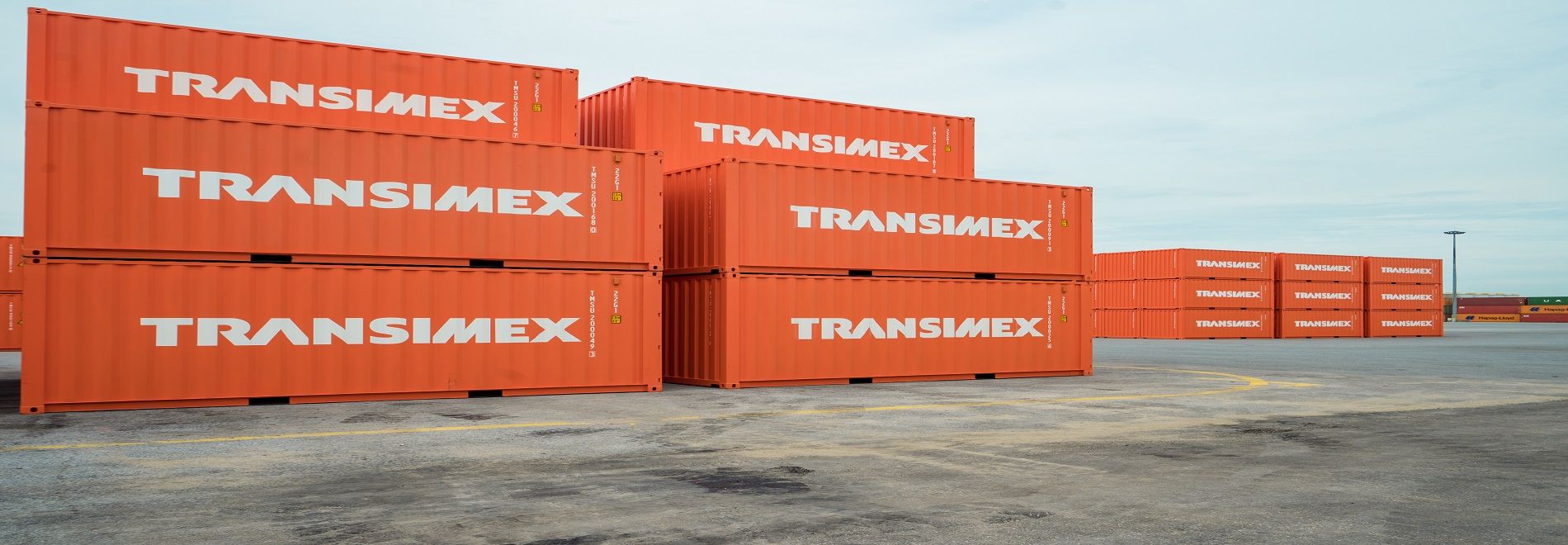 Transimex (TMS) lại đăng ký gom 1 triệu cổ phiếu Vinafreight