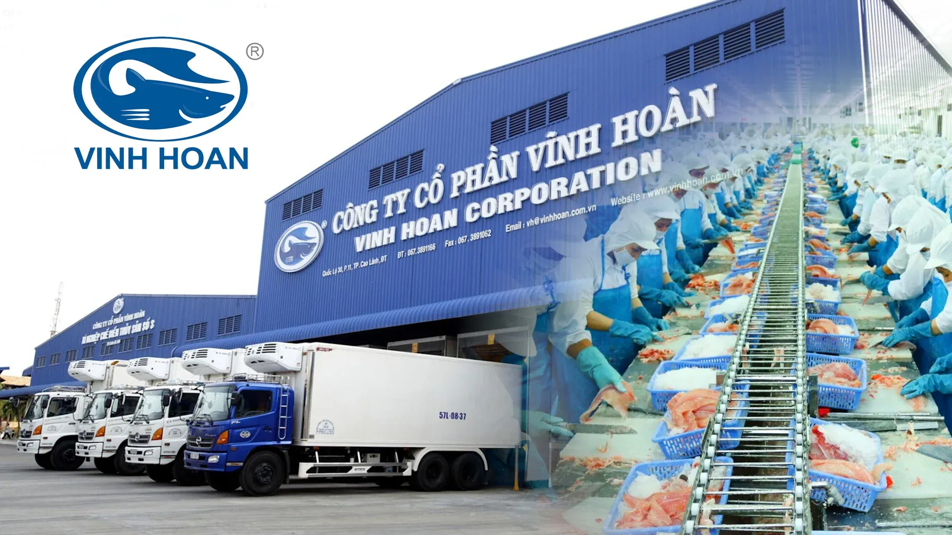 vĩnh hoàn.webp