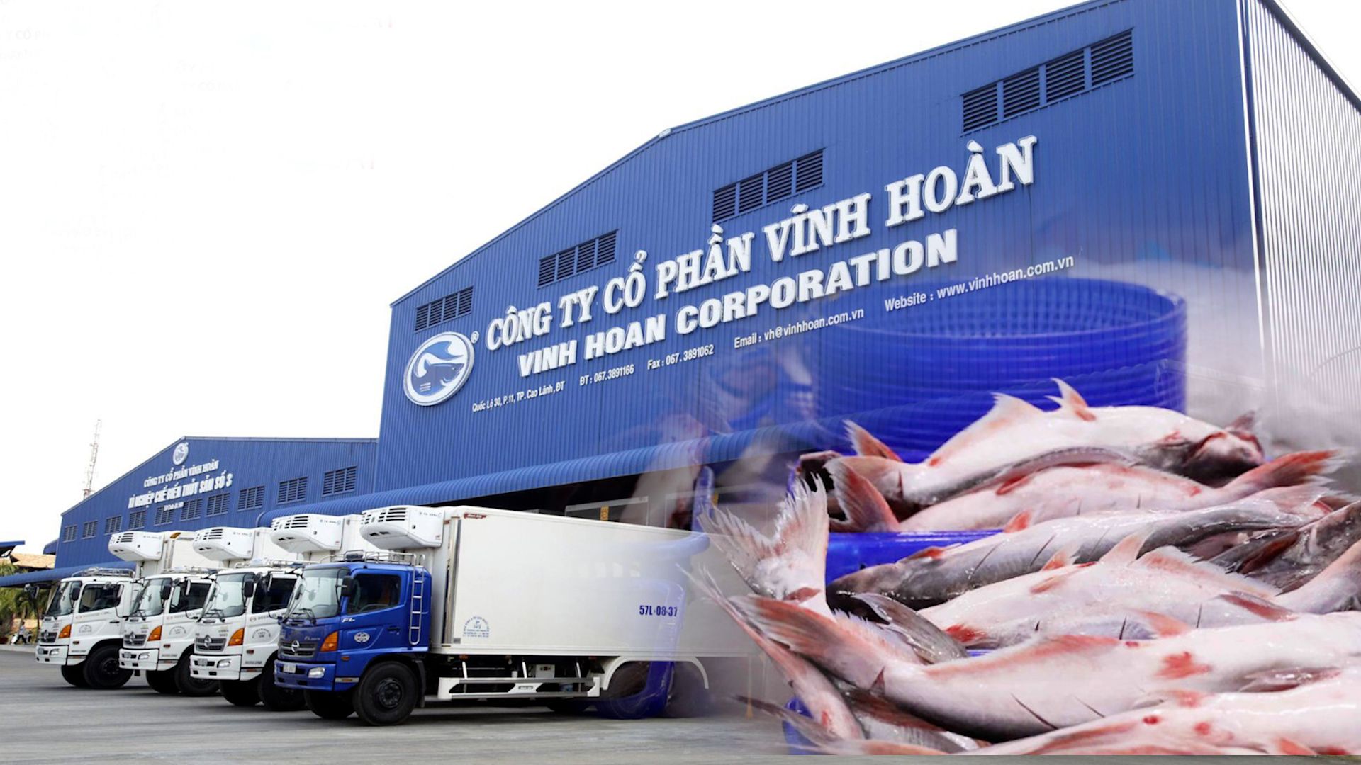 Chứng khoáng 11/6: Cổ phiếu ngành thủy sản và cao su được quan tâm