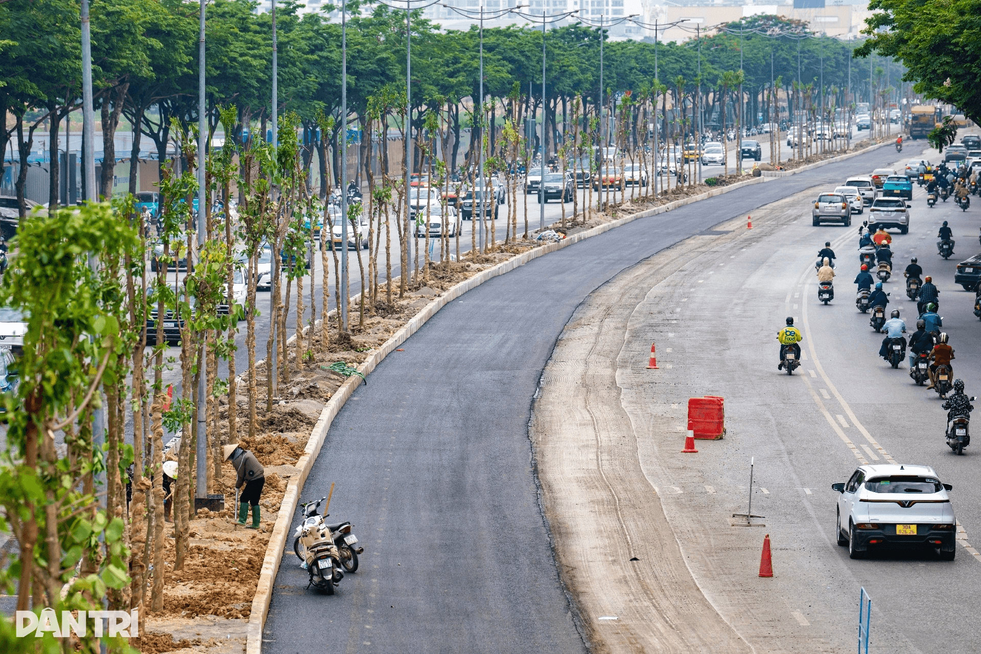 Hà Nội yêu cầu trồng lại toàn bộ cây xanh trên dải phân cách đường Võ Chí Công