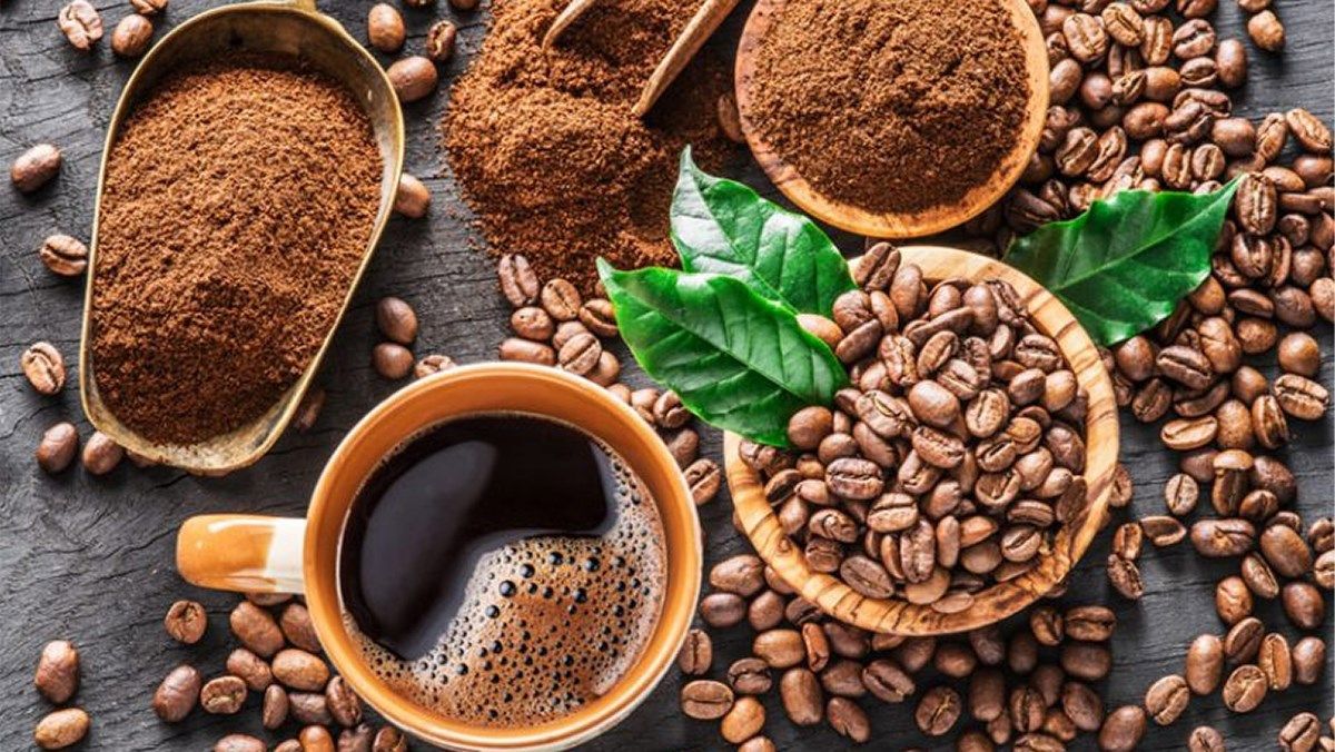 Giá cà phê ngày hôm nay 21/9/2026: Giá giảm tới 1.700 đồng/kg